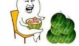 娱乐圈吃瓜动画片有哪些,揭秘那些令人捧腹的吃瓜动画片